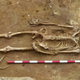 One of the skeletons—with its head between its feet—found at Great Whelnetham.